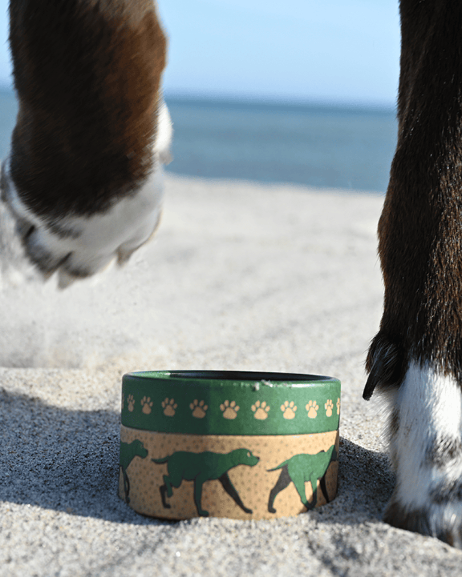 En hund som går på stranden och en burk med G&L tassalva.