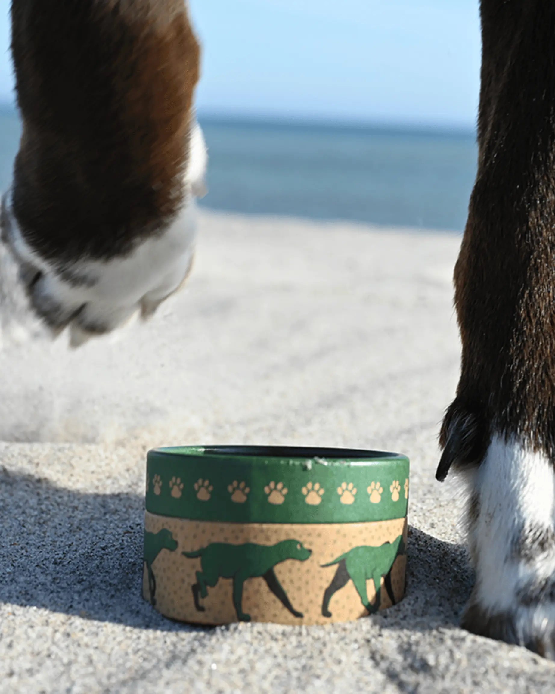 En hund som går på stranden och en burk med G&L tassalva.